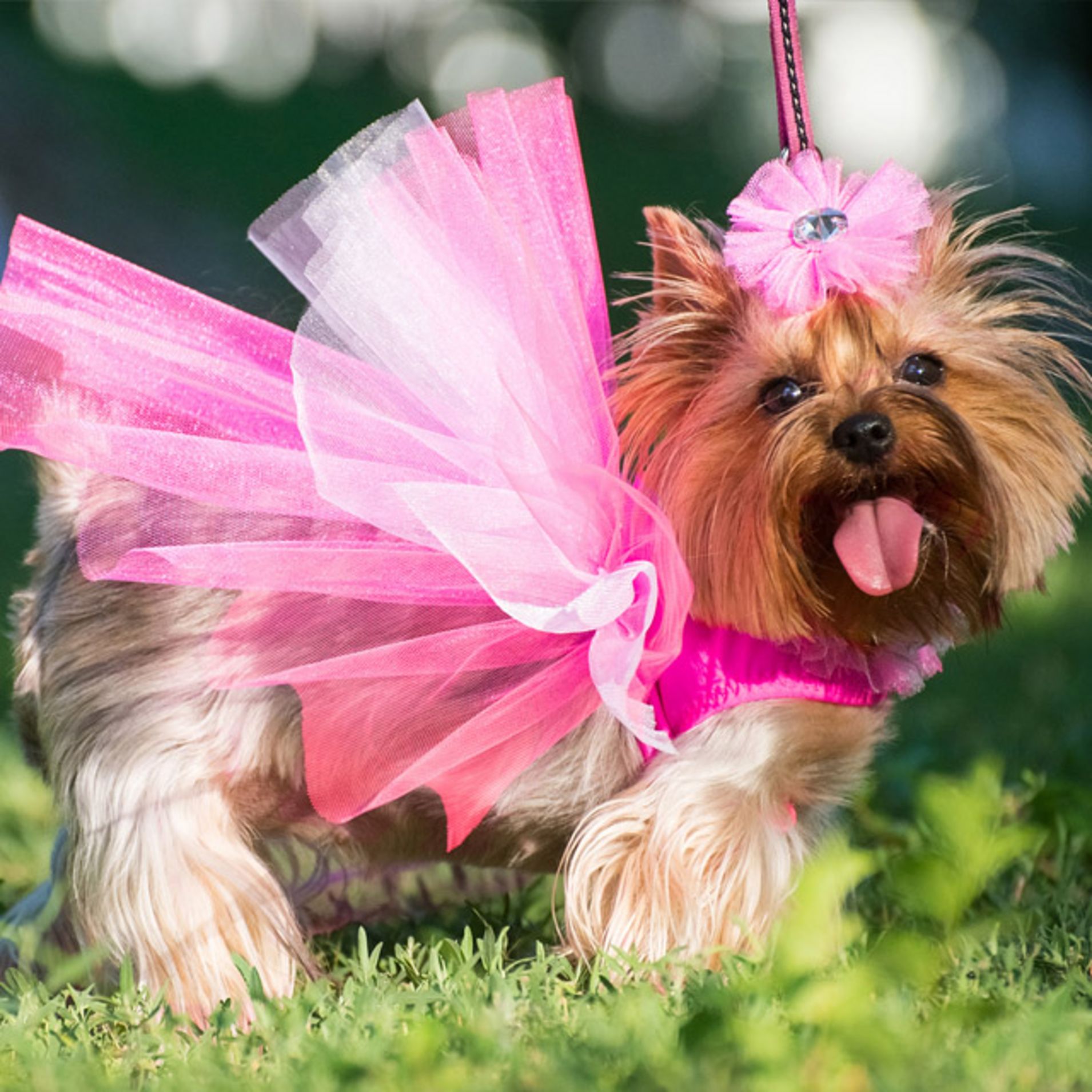 deluxe | Wedding | Style crazy deluxe | Wedding | Style crazy